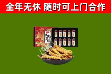 阿拉善回收冬虫夏草价格